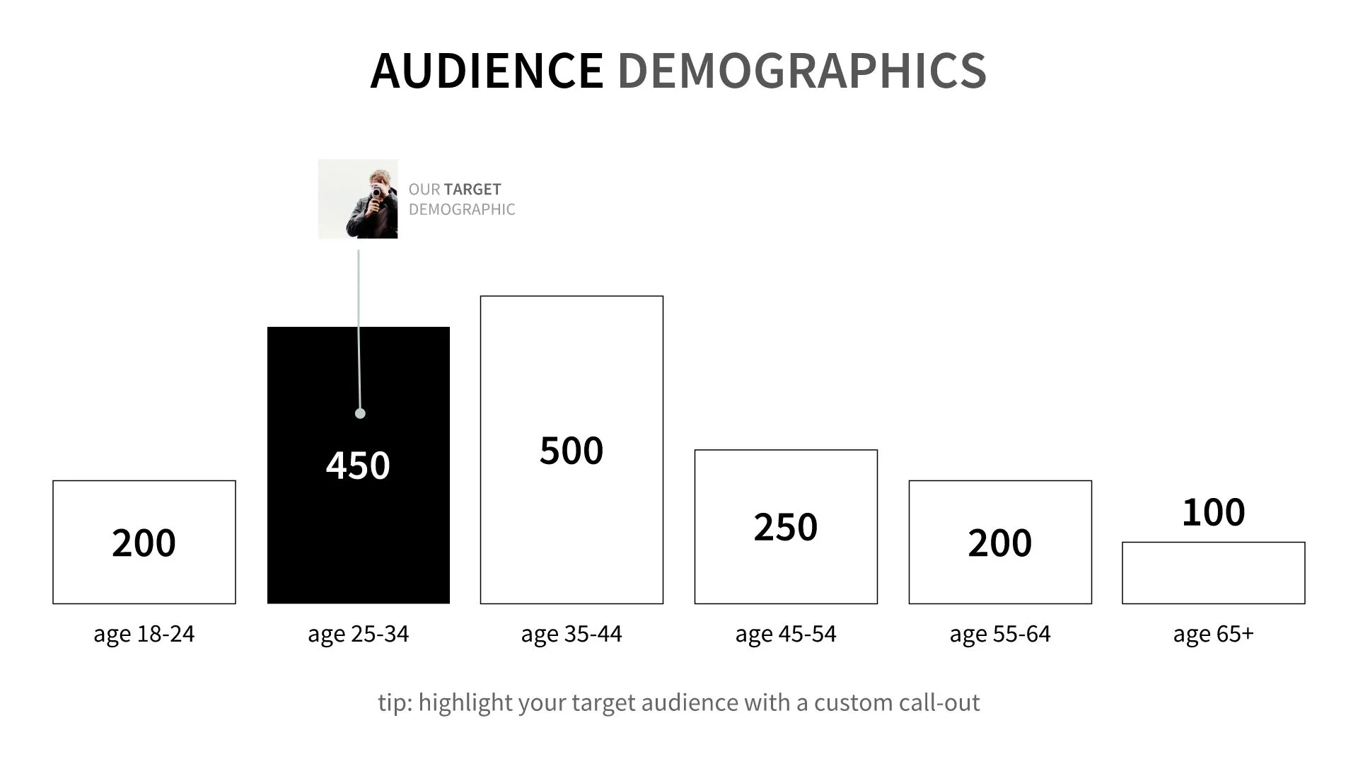 Audience Demographics